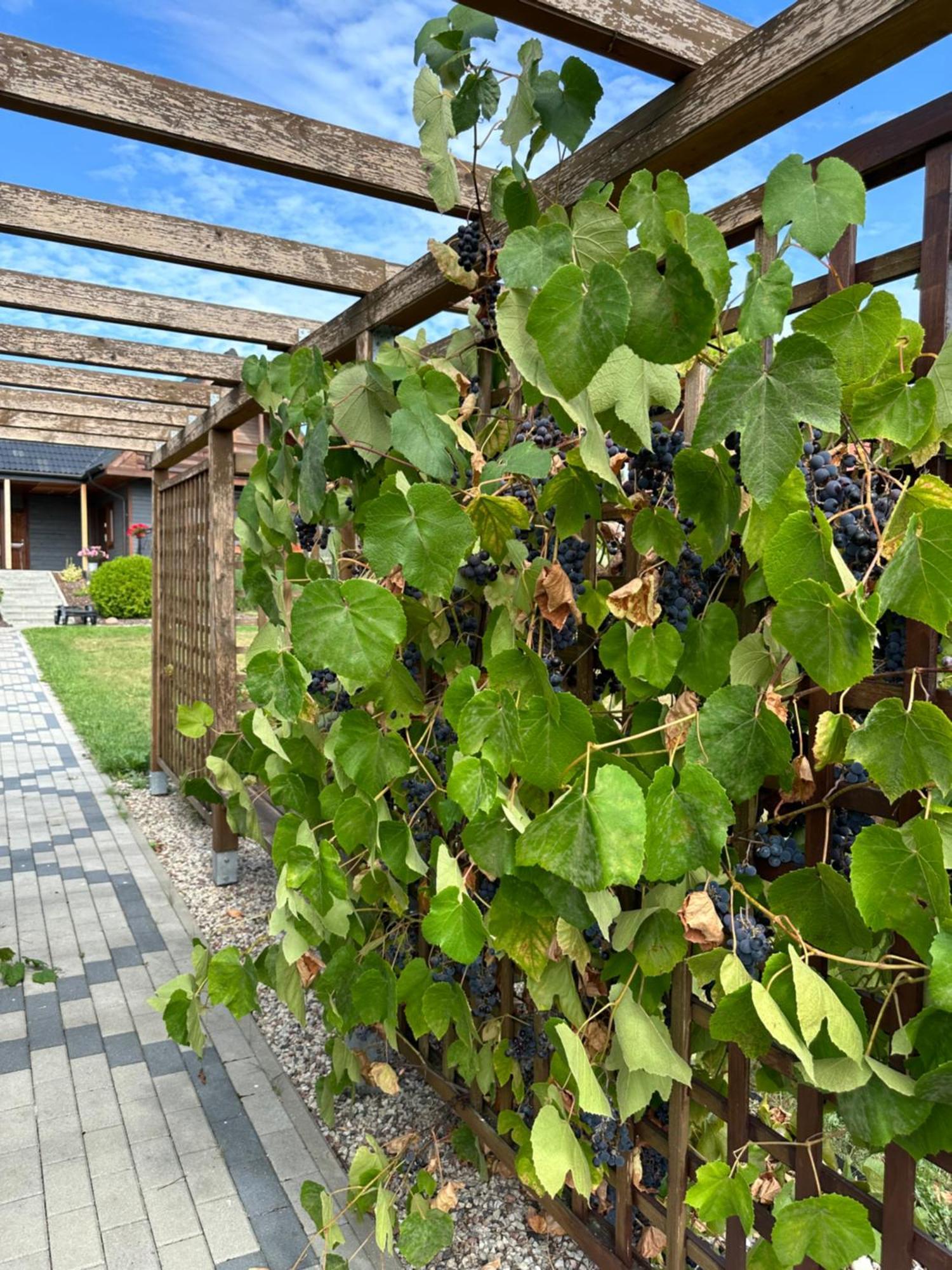 Villa Rajska Przystan II Wrony Exterior foto
